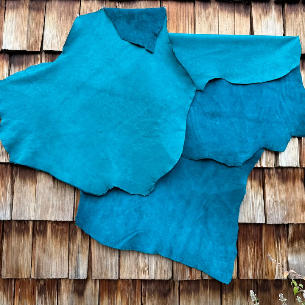 Turquoise Moose Quarters