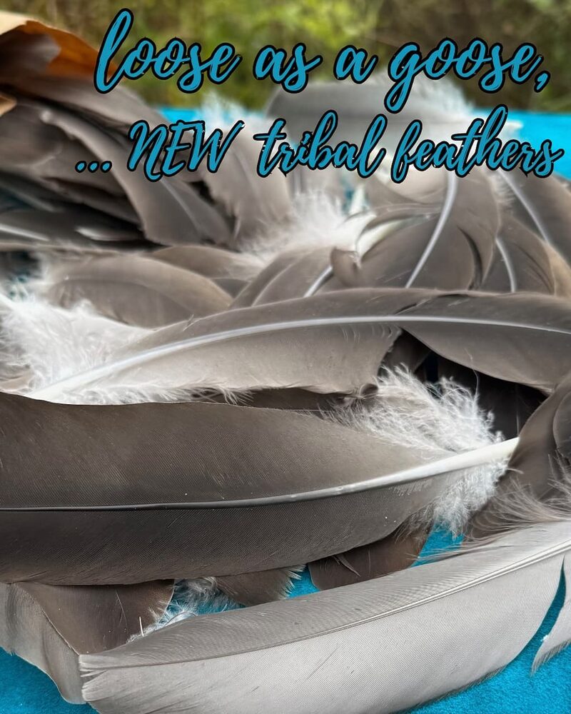 goose feathers